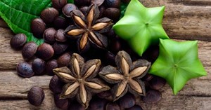 SACHI ÔNG VUA CÁC LOẠI HẠT?