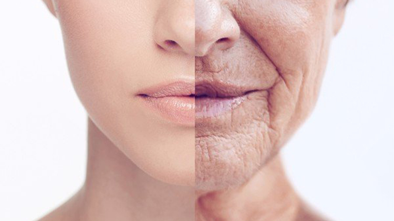 Đông trùng hạ thảo giúp chống lão hóa